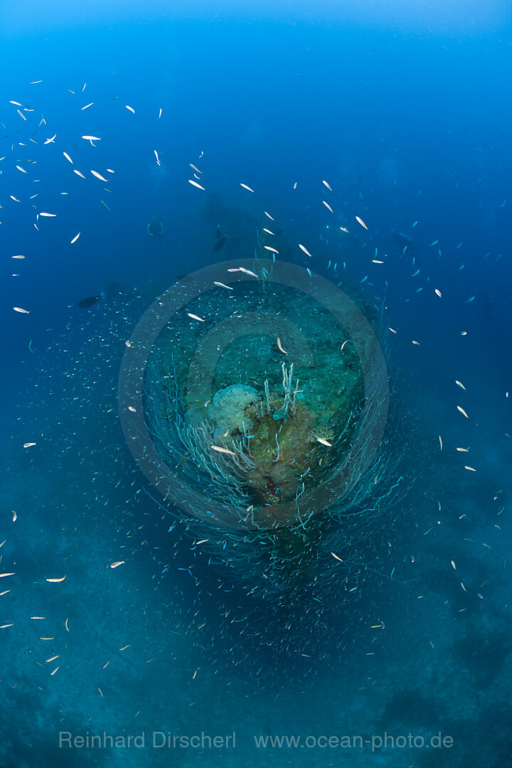 Bow of Destroyer USS Lamson, Bikini Atoll, Micronesia, Pacific Ocean, Marshall Islands