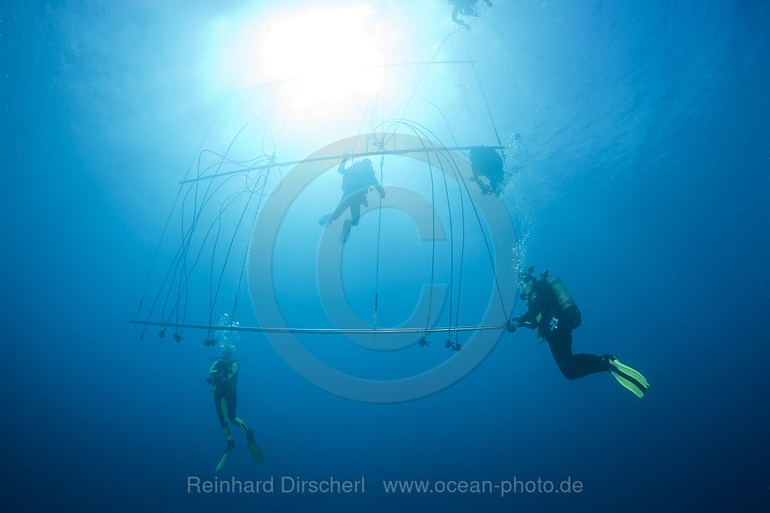 Divers decompress with Oxygen after deep Wreckdive at Decompression Trapeze, Bikini Atoll, Micronesia, Pacific Ocean, Marshall Islands