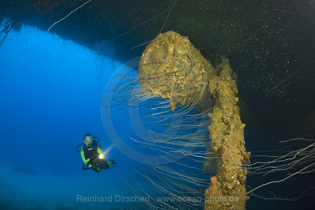 Diver at massive 16-inch 45 Caliber Gun under HIJMS Nagato Battleship, Bikini Atoll, Micronesia, Pacific Ocean, Marshall Islands