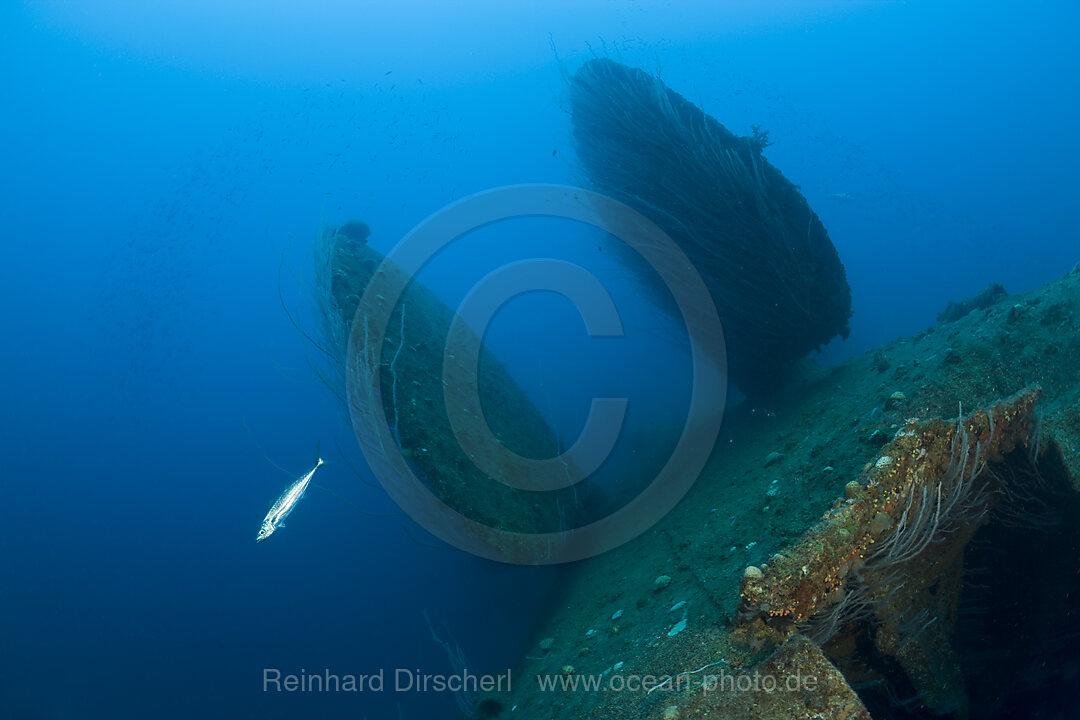 Rudder of bottom up laying HIJMS Nagato Battleship
