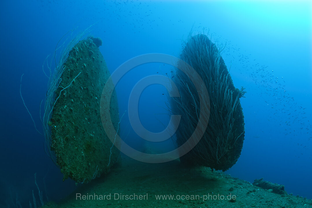 Rudder of bottom up laying HIJMS Nagato Battleship