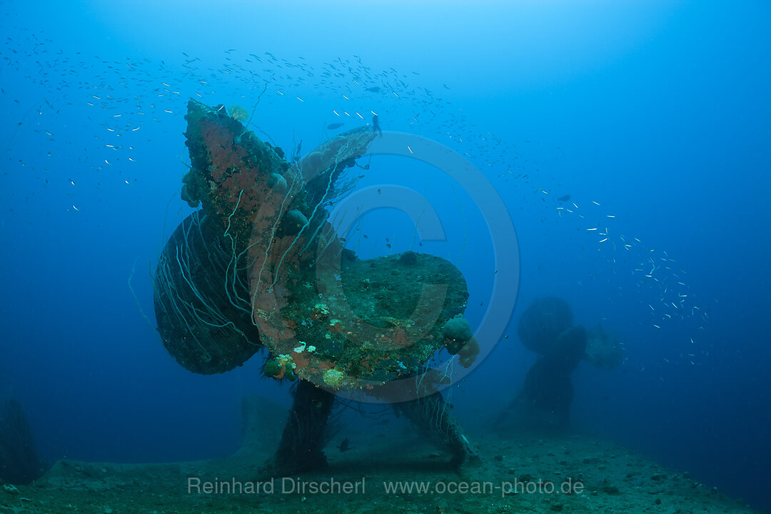 Propeller of HIJMS Nagato Battleship, Bikini Atoll, Micronesia, Pacific Ocean, Marshall Islands