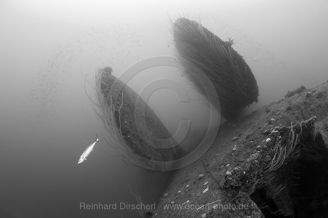 Ruder der kieloben liegenden HIJMS Nagato, Bikini Atoll, Mikronesien, Pazifik, Marschallinseln