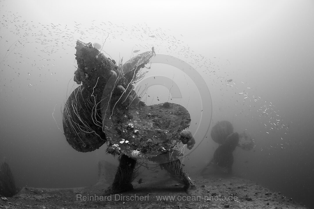 Propeller of HIJMS Nagato Battleship, Bikini Atoll, Micronesia, Pacific Ocean, Marshall Islands