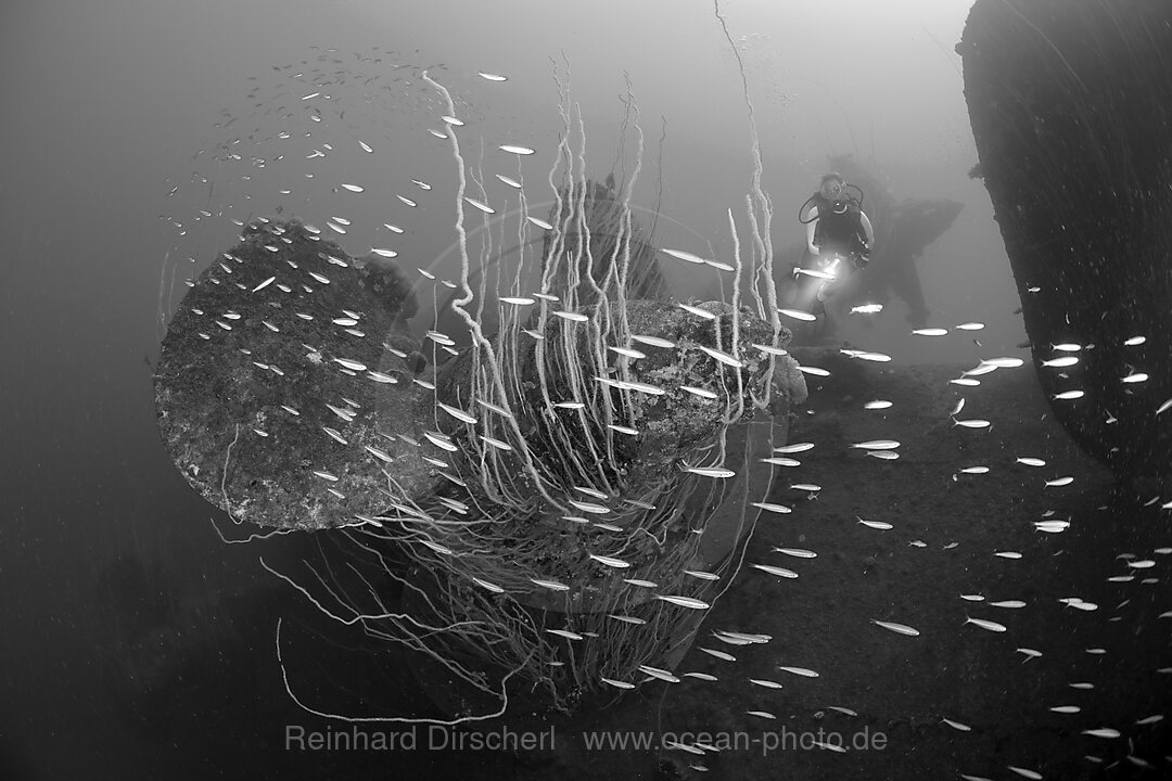 Diver at Propellers of HIJMS Nagato Battleship, Bikini Atoll, Micronesia, Pacific Ocean, Marshall Islands