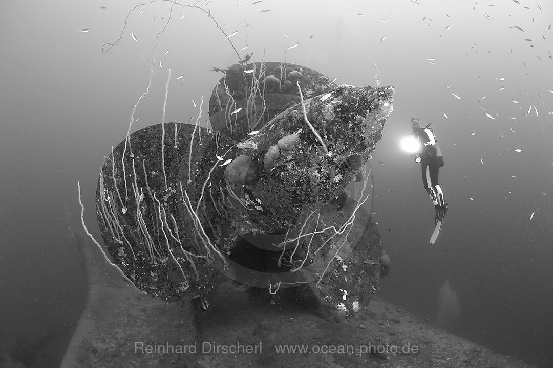 Taucher an den Schiffschrauben der HIJMS Nagato, Bikini Atoll, Mikronesien, Pazifik, Marschallinseln