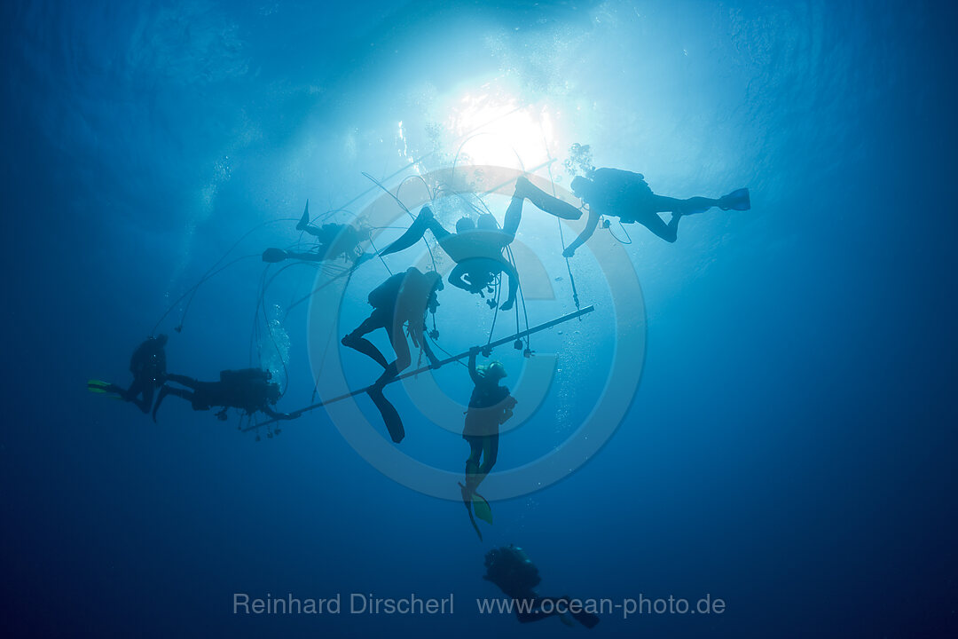 Divers at Decompression Trapeze after deep Wreckdive, Bikini Atoll, Micronesia, Pacific Ocean, Marshall Islands