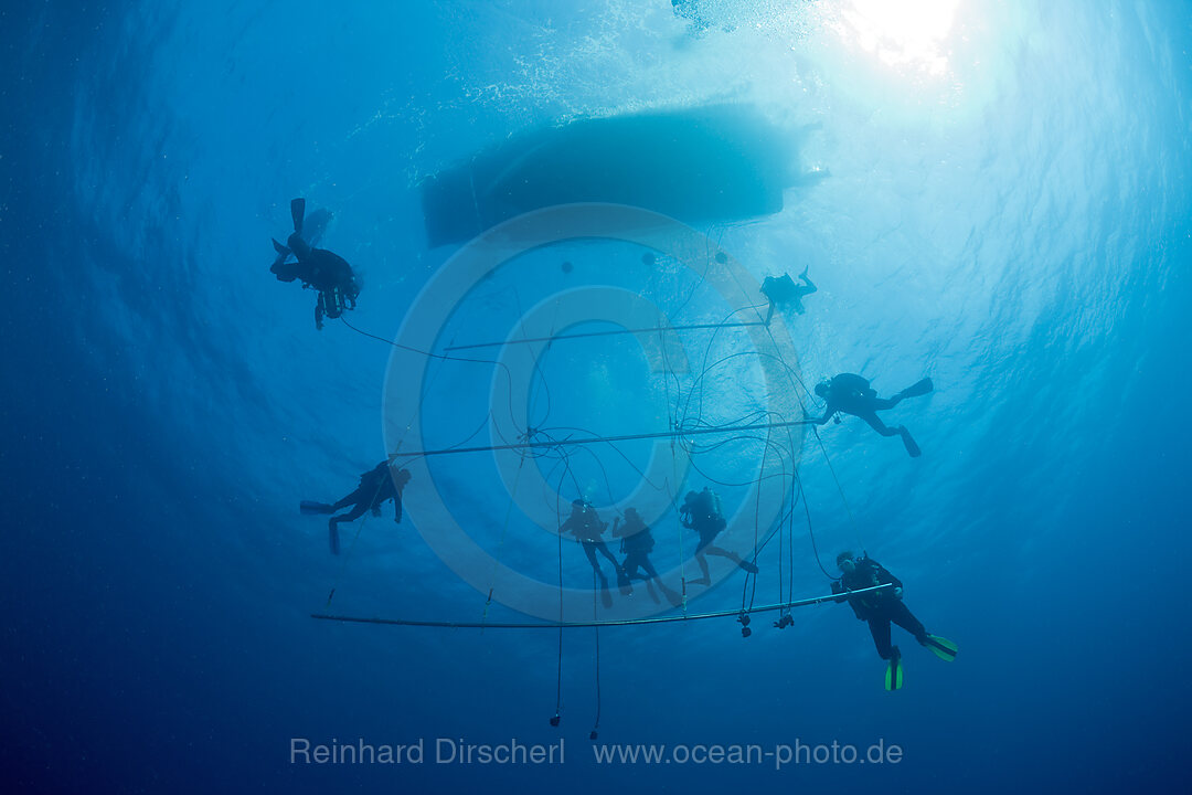 Divers at Decompression Trapeze after deep Wreckdive, Bikini Atoll, Micronesia, Pacific Ocean, Marshall Islands