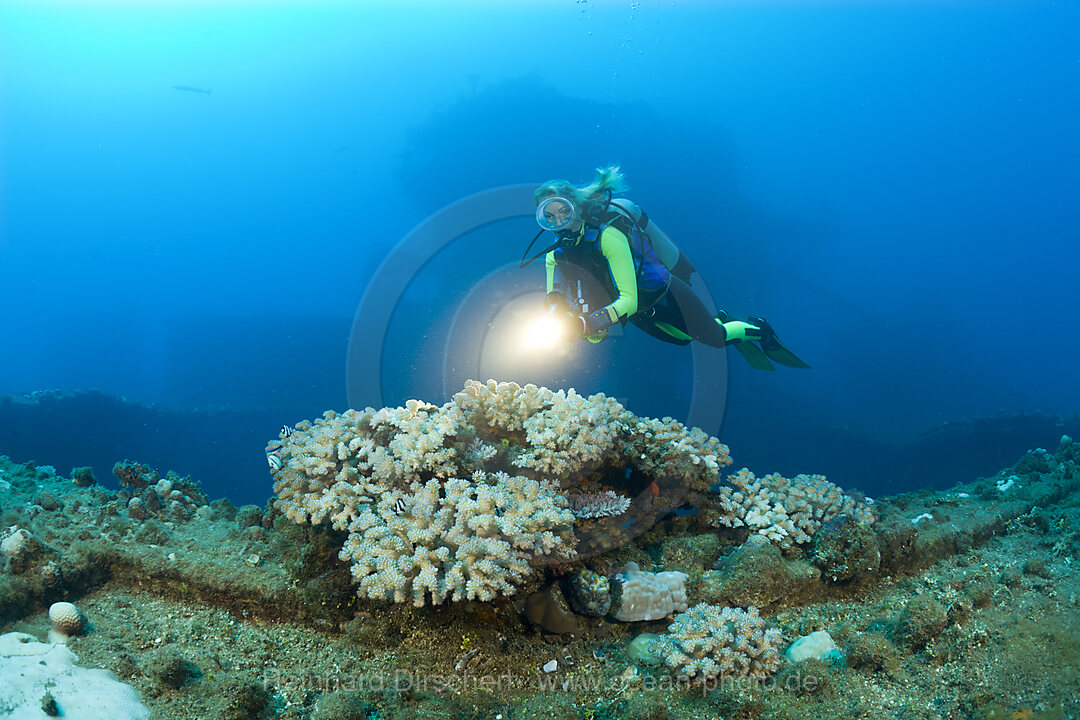 Diver and Corals at Flight Deck on USS Saratoga, Bikini Atoll, Micronesia, Pacific Ocean, Marshall Islands