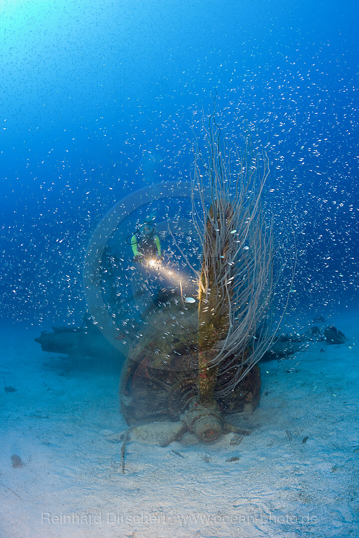 Taucher am Propeller eines Kampfflugzeug neben der USS Saratoga, Bikini Atoll, Mikronesien, Pazifik, Marschallinseln