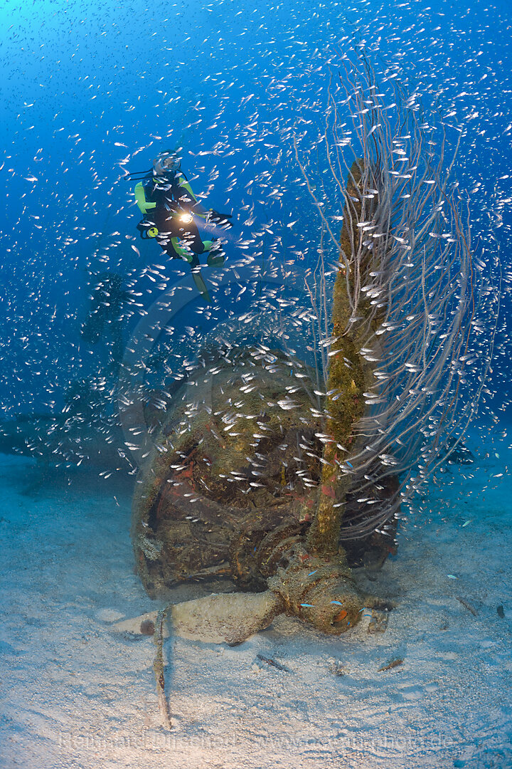 Taucher am Propeller eines Kampfflugzeug neben der USS Saratoga, Bikini Atoll, Mikronesien, Pazifik, Marschallinseln