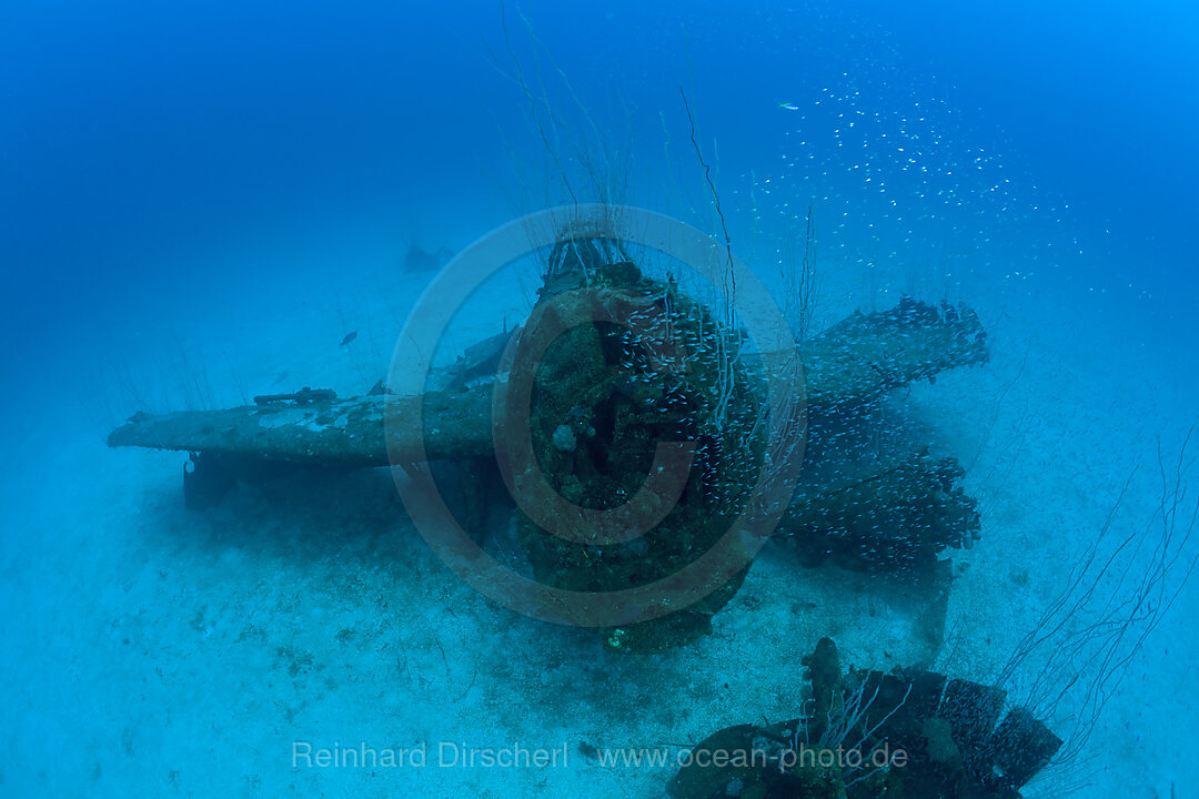 Kampfflugzeug neben der USS Saratoga, Bikini Atoll, Mikronesien, Pazifik, Marschallinseln