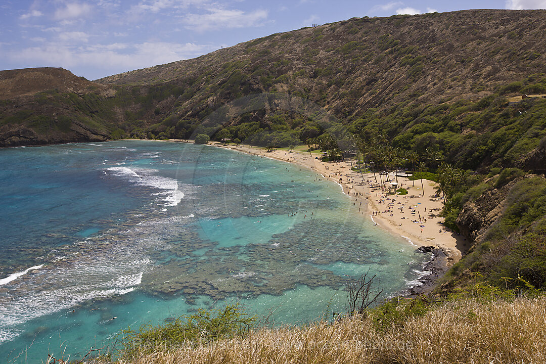 Strand der Hanauma Bucht