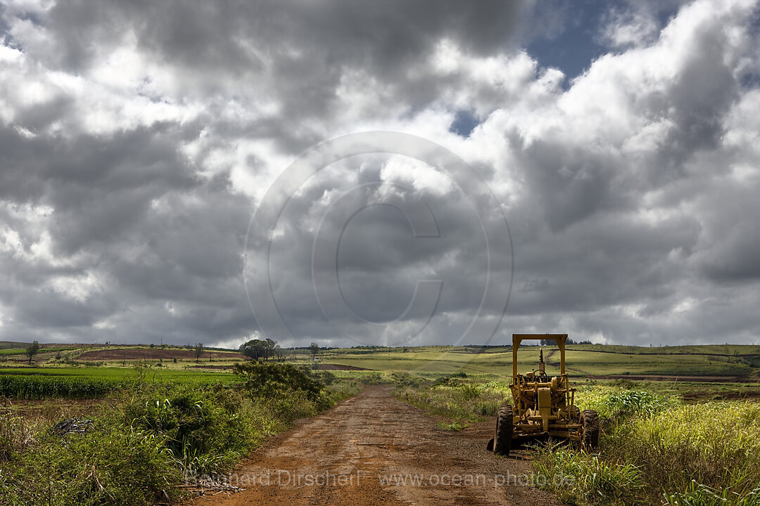 Landscape near Haleiwa