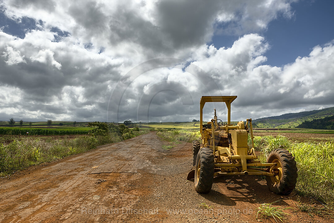 Landschaft bei Haleiwa, Oahu, Pazifik, Hawaii, USA