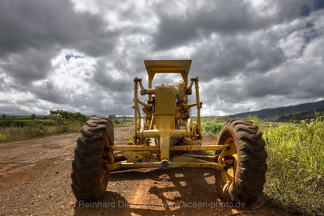 Landschaft bei Haleiwa