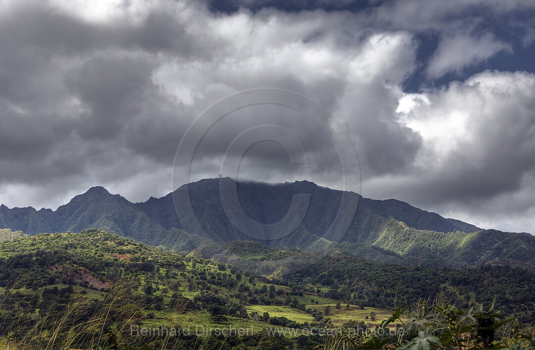 Landschaft bei Haleiwa, Oahu, Pazifik, Hawaii, USA