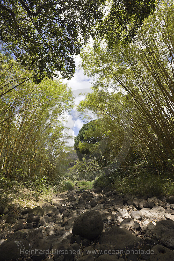 Botanischer Garten Waimea Valley