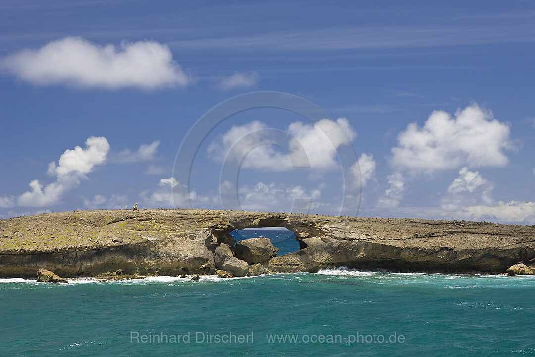 Felsen in der Brandung am Kahuku Makahoa Point, Oahu, Pazifik, Hawaii, USA