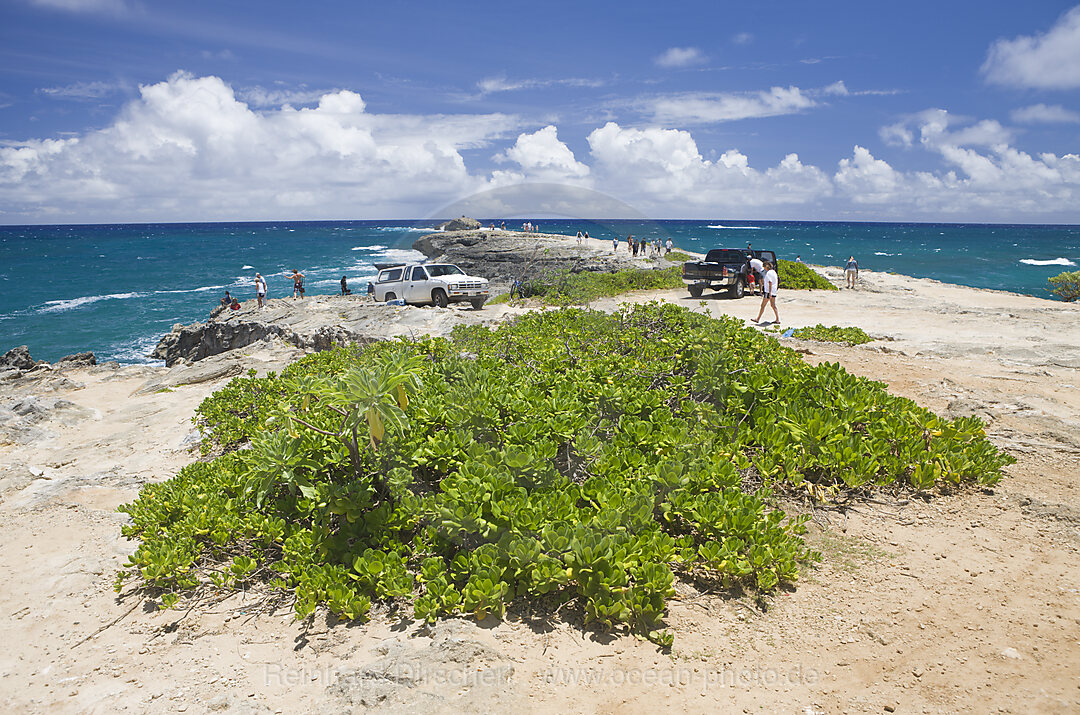 Rocks at Kahuku Makahoa Point