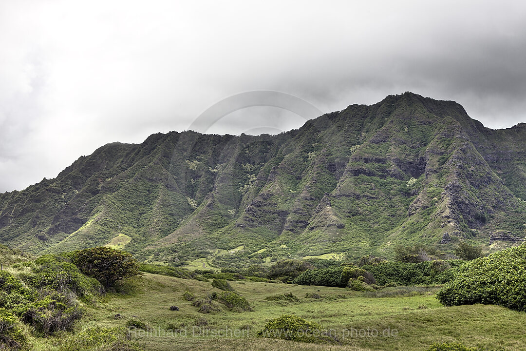 Koolau Klippen nahe der Kualoa Ranch, Oahu, Pazifik, Hawaii, USA