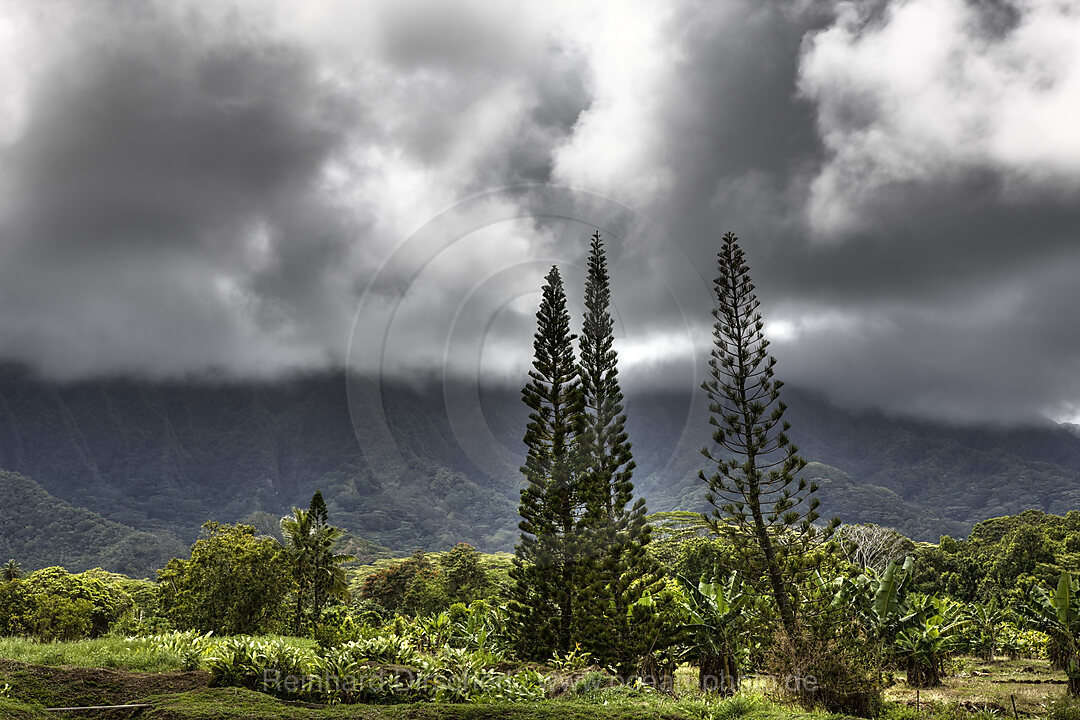 Landschaft der Kualoa Ranch, Oahu, Pazifik, Hawaii, USA