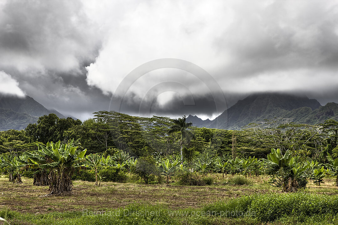 Landschaft der Kualoa Ranch, Oahu, Pazifik, Hawaii, USA