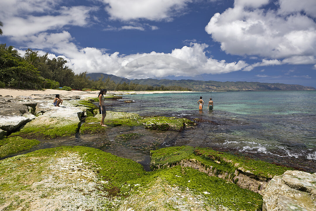 Kids at Haleiwa Beach Park