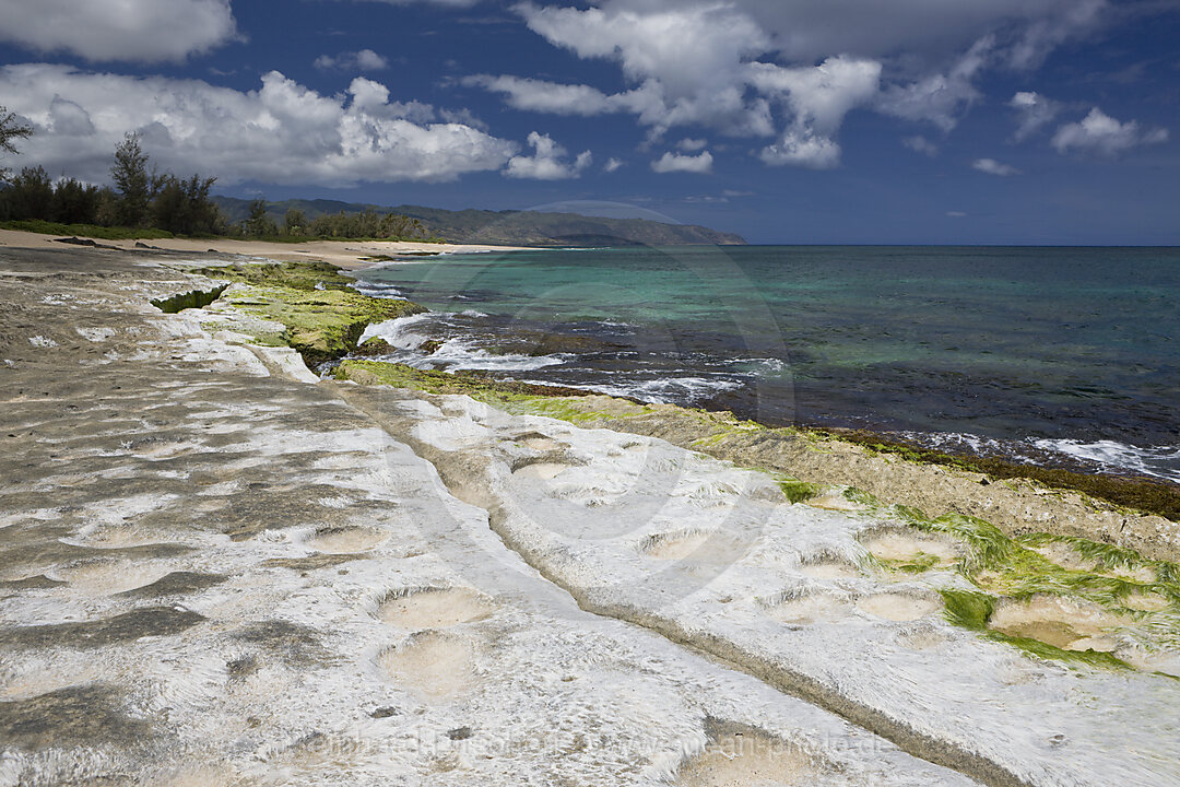 Strand von Haleiwa Beach Park