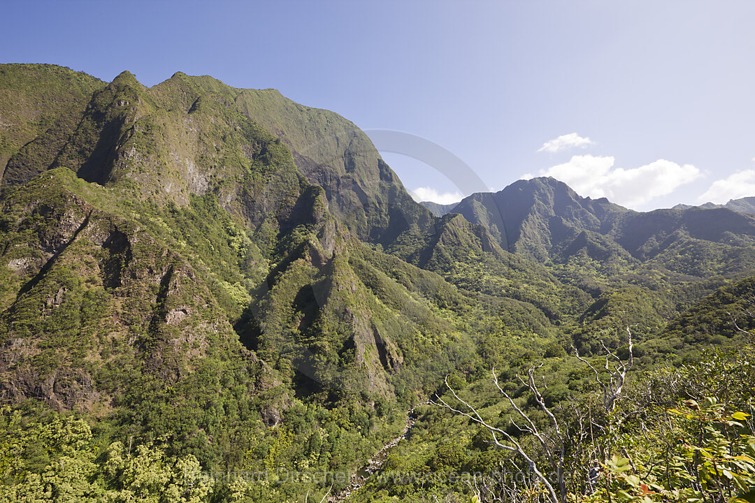 Iao Valley