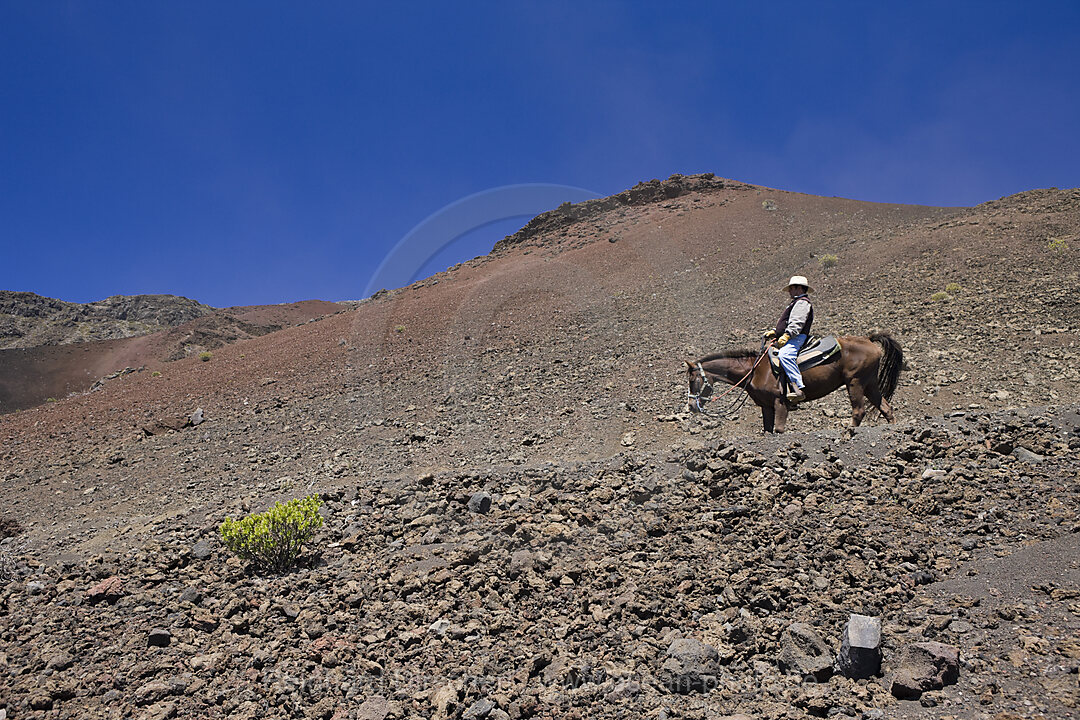 Ausritt im Krater des Haleakala Vulkan, Maui, Hawaii, USA