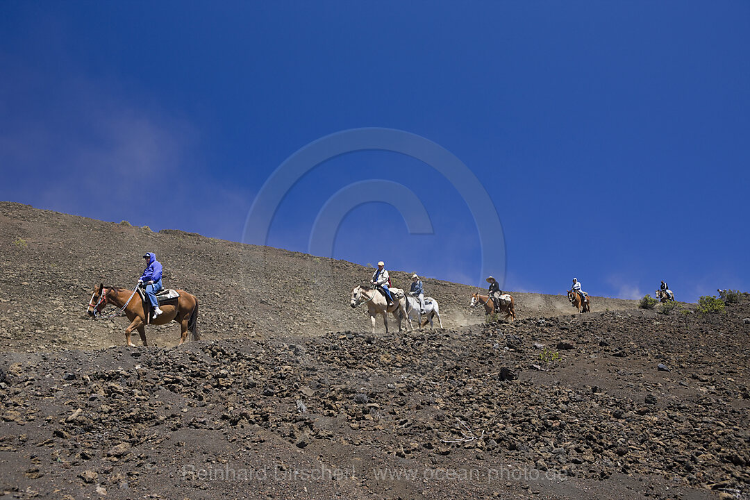 Ausritt im Krater des Haleakala Vulkan, Maui, Hawaii, USA