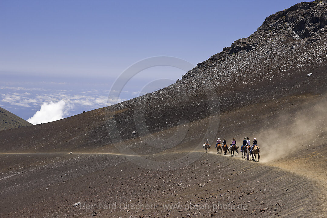 Ausritt im Krater des Haleakala Vulkan