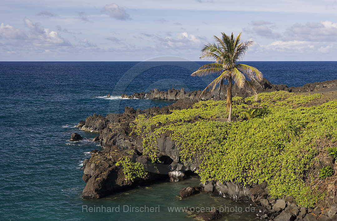 Waianapanapa State Park an der Strasse nach Hana, Maui, Hawaii, USA