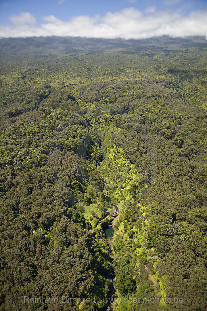 Tal an der Nordkueste von Maui, Maui, Hawaii, USA