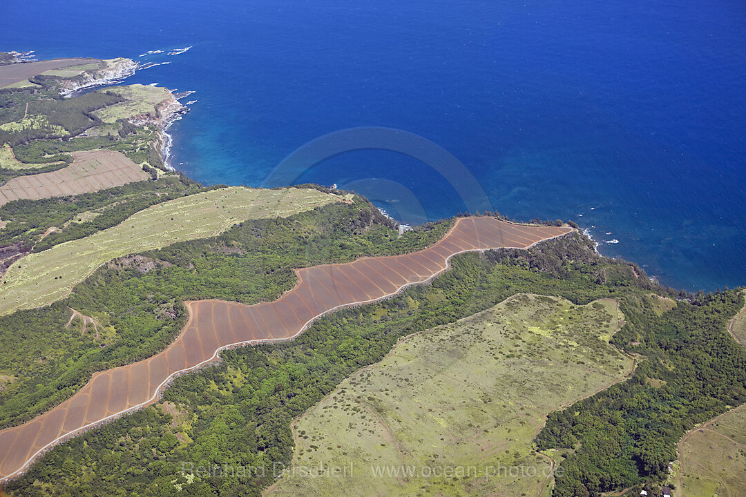 Northcoast of Maui