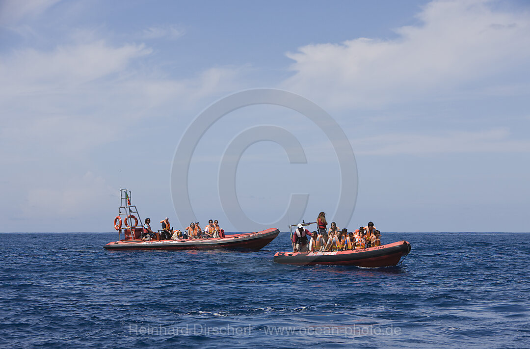 Urlauber bei Whale watching Ausflug, Azoren, Atlantik, Portugal