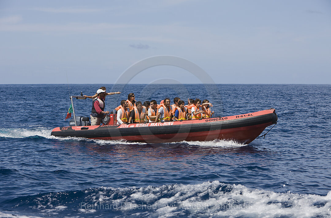 Tourists at Whale watching Tour