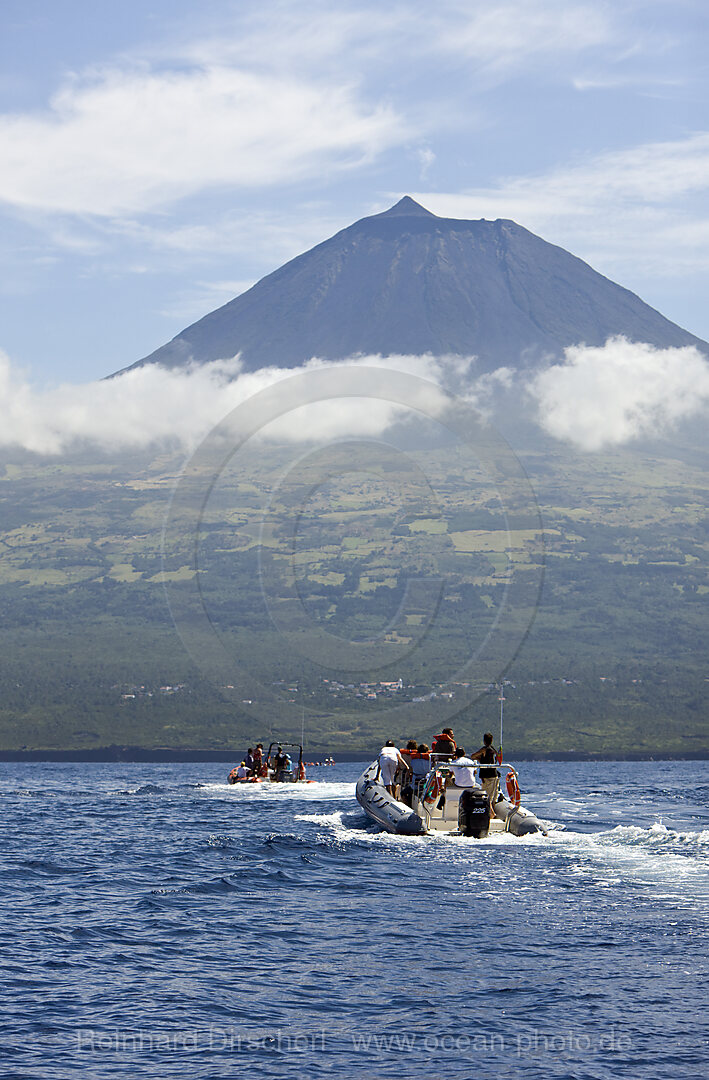 Tourists at Whale watching Tour