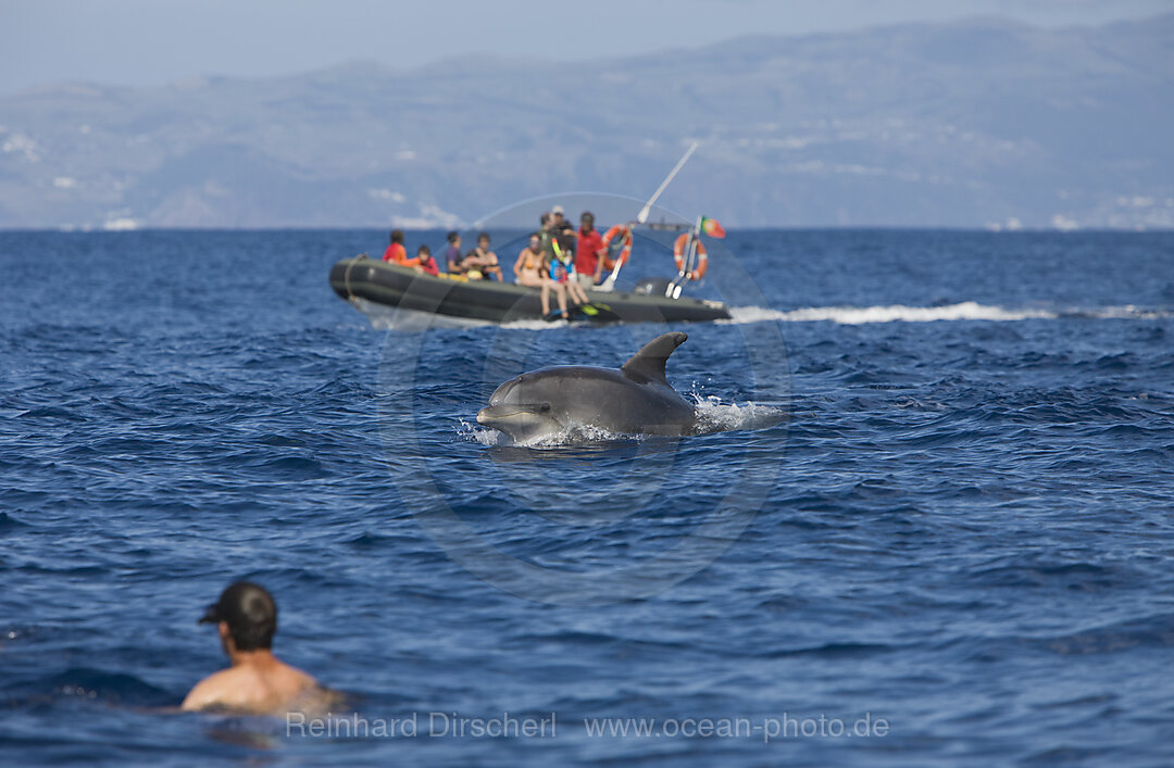Tourists at Dolphin watching Tour