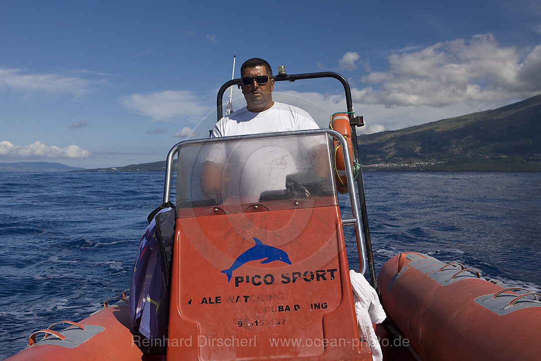 Whale watching Tour
