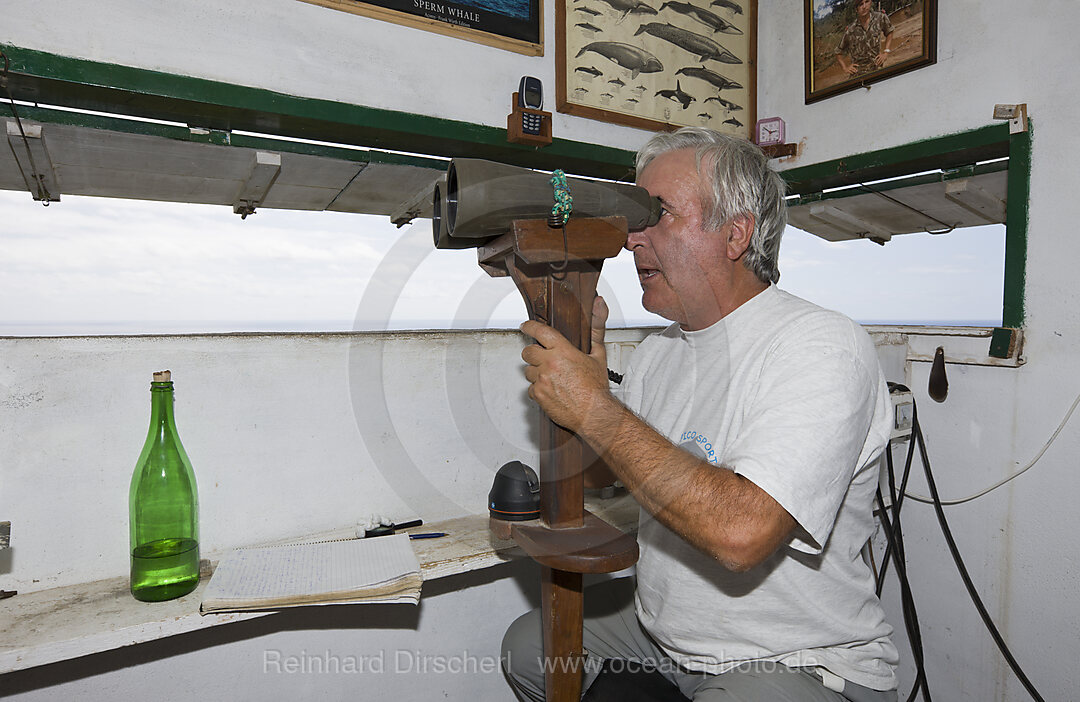Whale Finder at Observation Tower