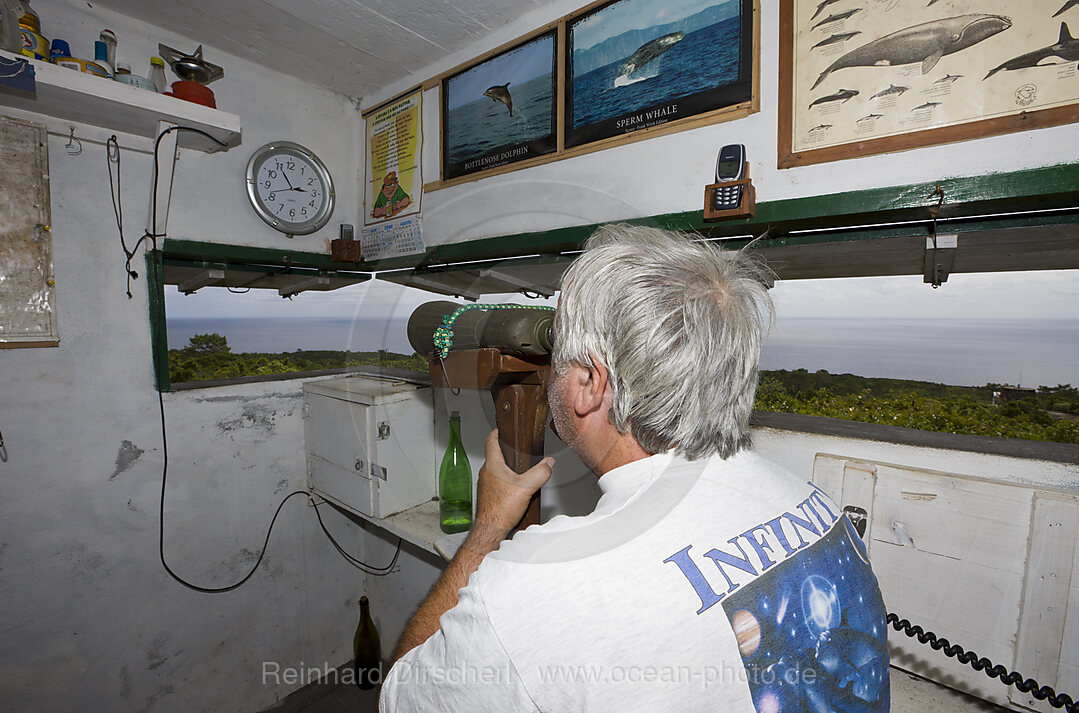 Whale Finder at Observation Tower