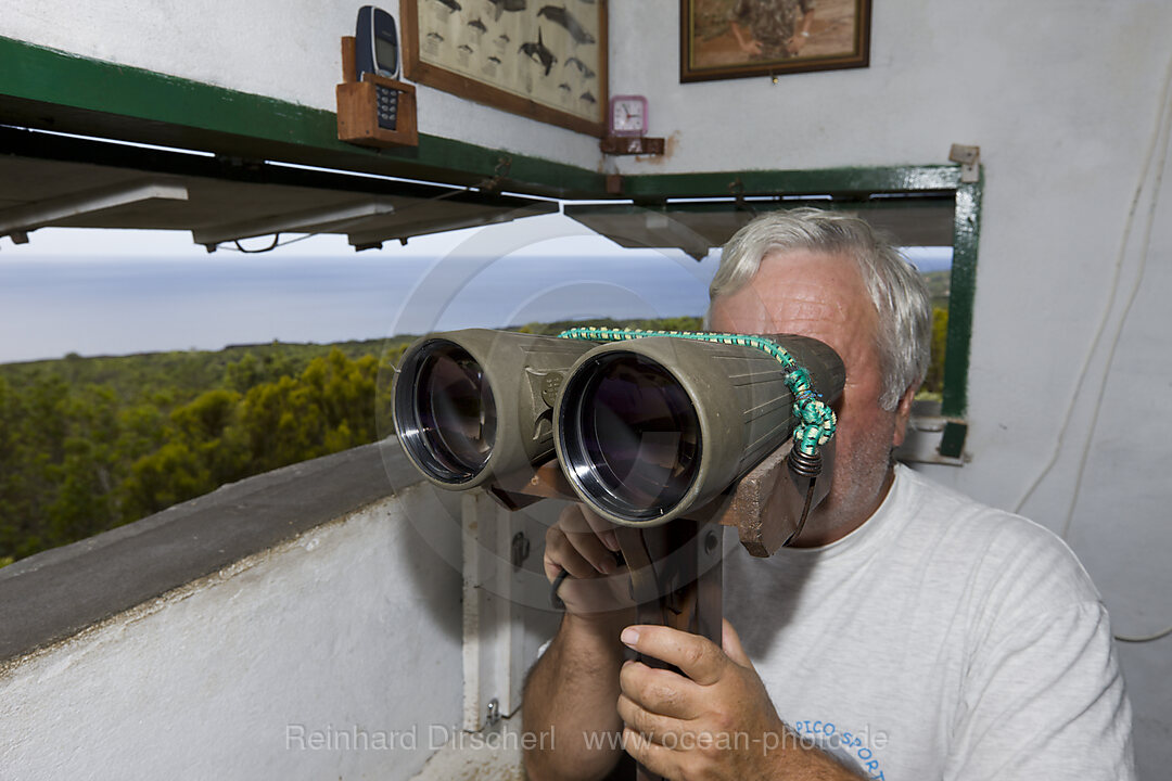 Whale Finder at Observation Tower