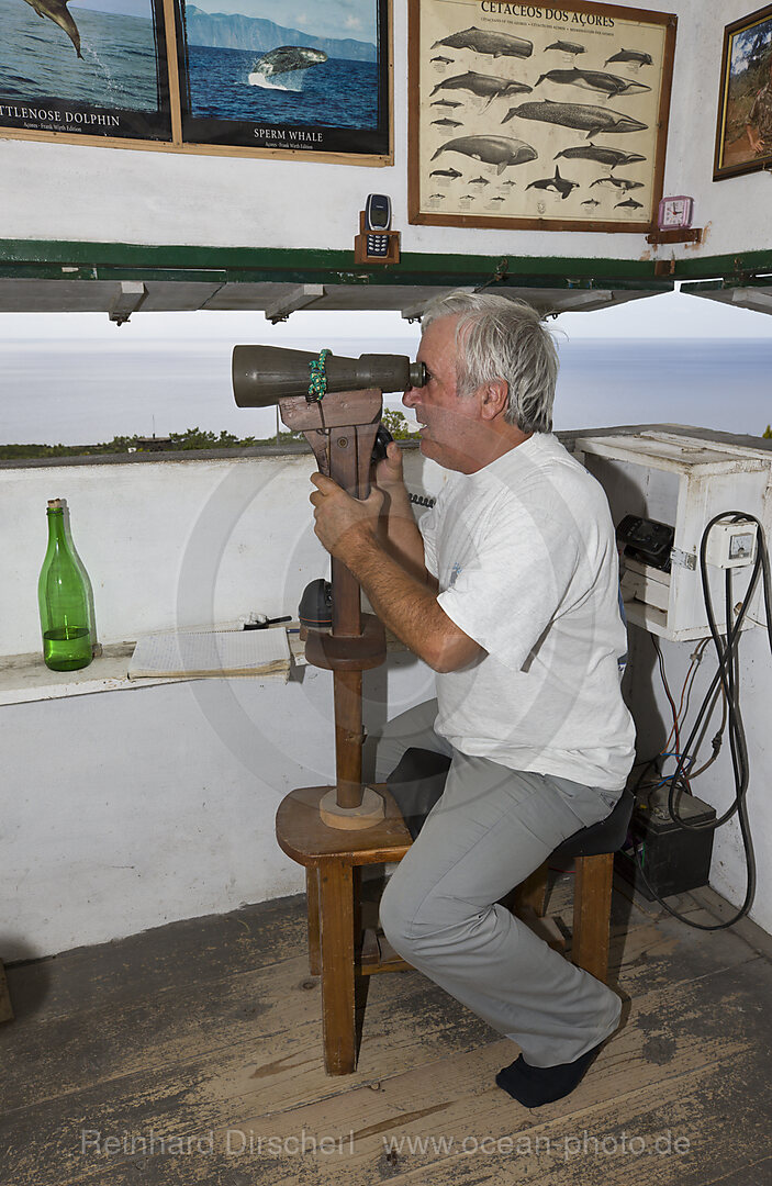 Whale Finder at Observation Tower