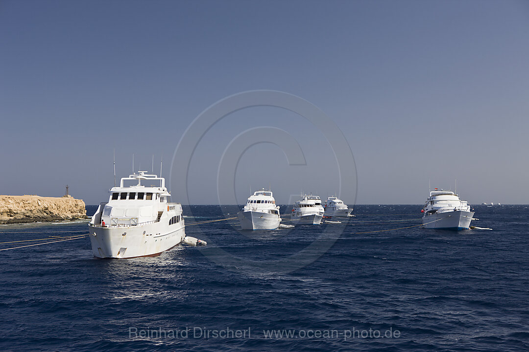 Tauchschiffe am Riff, Brother Islands, Rotes Meer, Aegypten