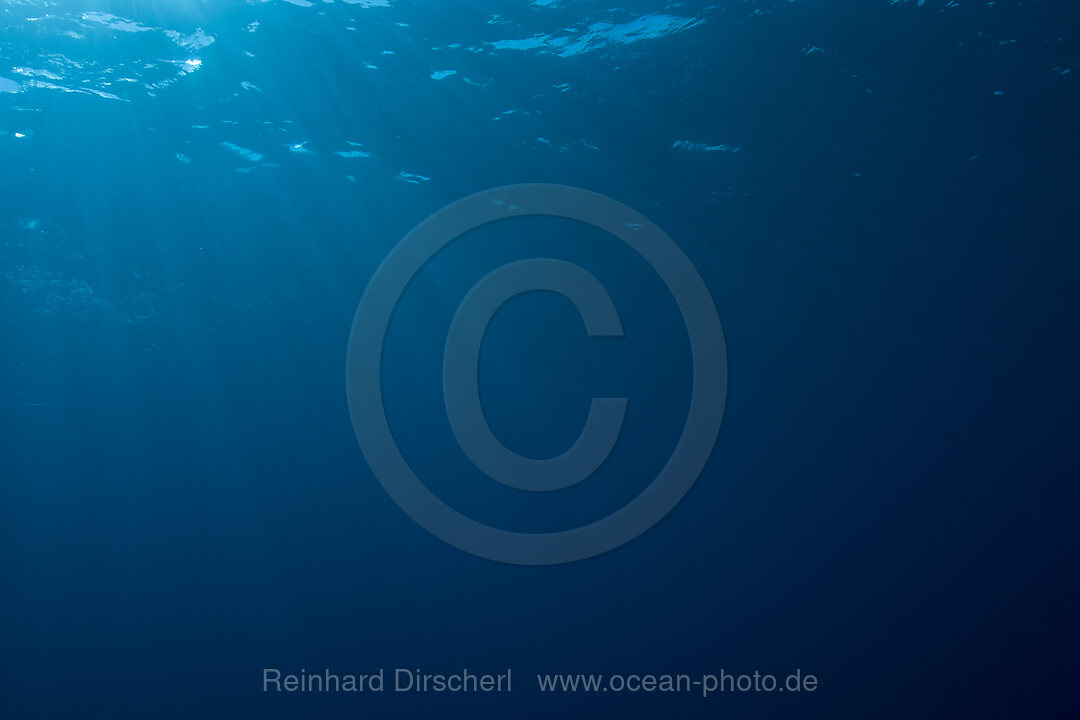 Blauwasser