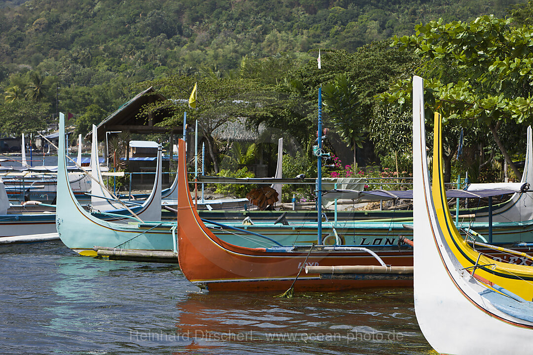 Outriggers on Lake Taal