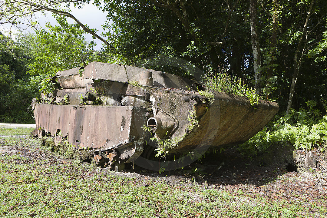 American Troop Carrier from II World War