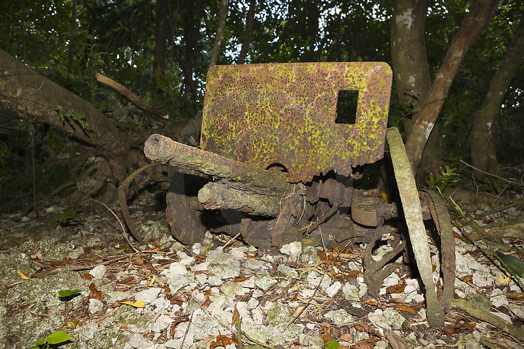 Gun from II World War